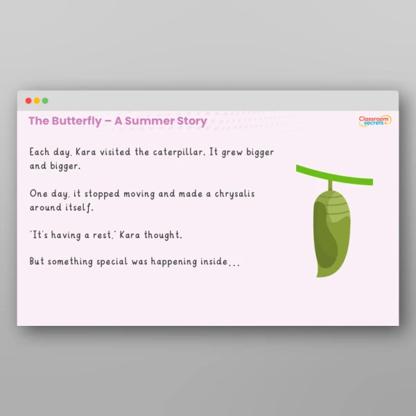 An image of the The Butterfly - A Summer Story Resource