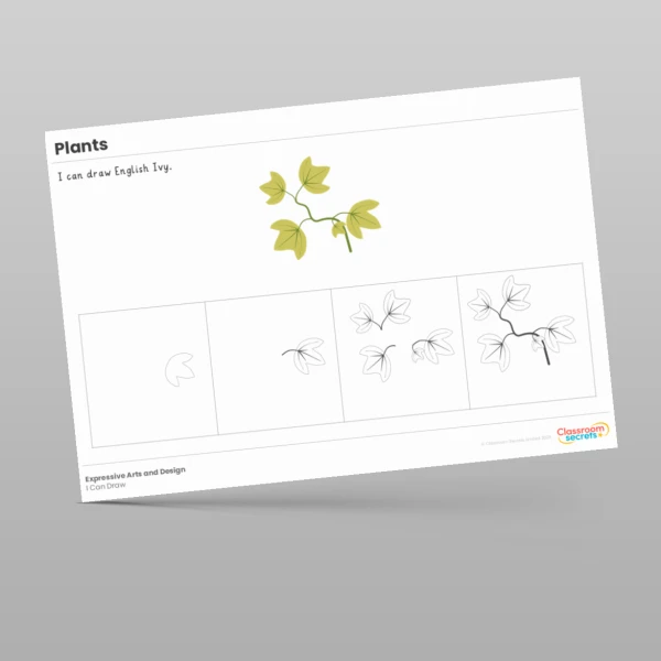 An image of the Plants I Can Draw Resource