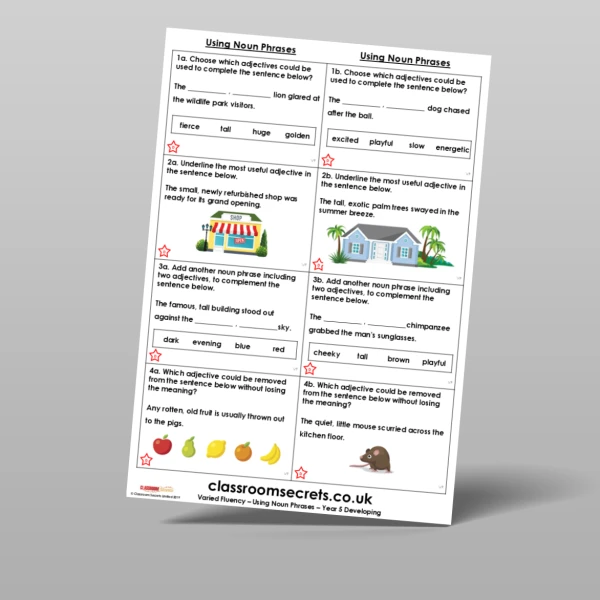 An image of the Using Noun Phrases Varied Fluency Resource
