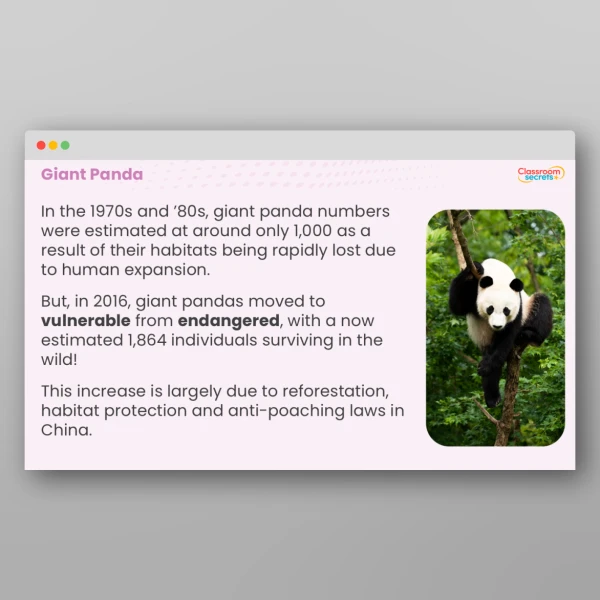 An image of the Endangered Animals Success Stories Whole School Assembly Resource