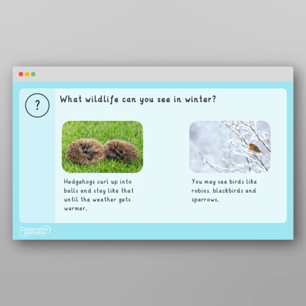 An image of the Winter Introductory PPT Resource