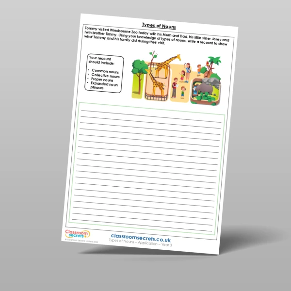 An image of the Types of Nouns Application Resource