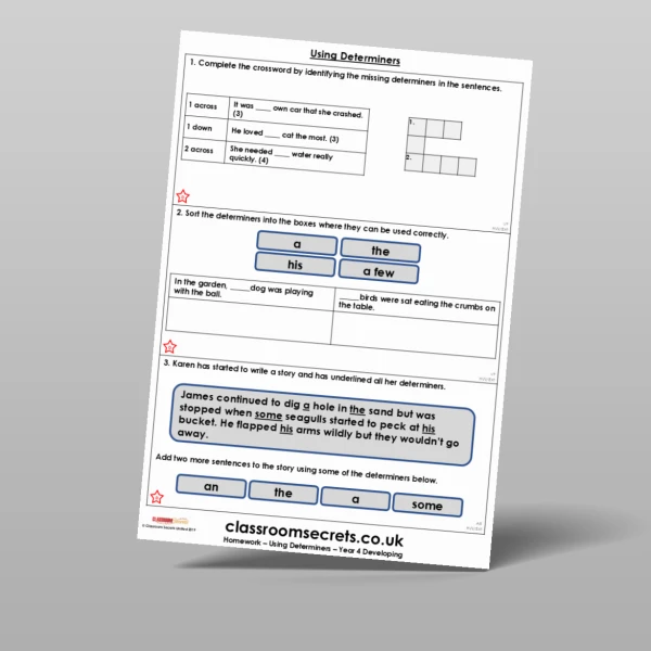 An image of the Free Using Determiners Homework Resource