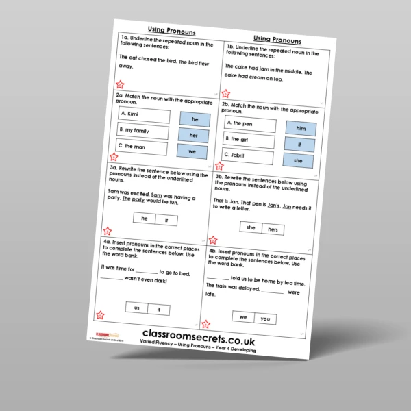An image of the Using Pronouns Varied Fluency Resource