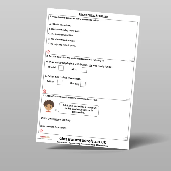 An image of the Recognising Pronouns Homework Resource