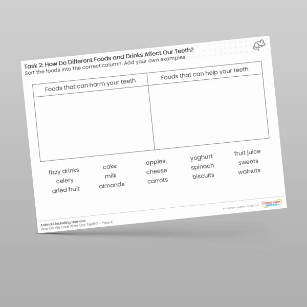 An image of the How Do Different Foods and Drinks Affect Our Teeth? Worksheet Resource