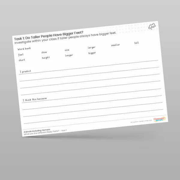 An image of the Lesson 6: Do Taller People Have Bigger Feet? Investigation Worksheet Resource