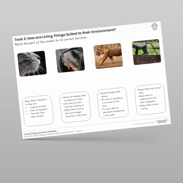 An image of the Lesson 3: How are Living Things Suited to Their Environment? Worksheet Resource