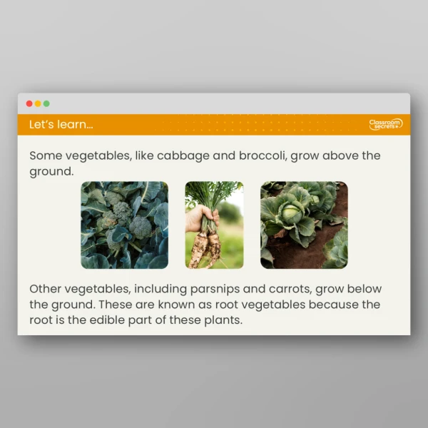 An image of the Lesson 5: Where Does Food Come From? Resource