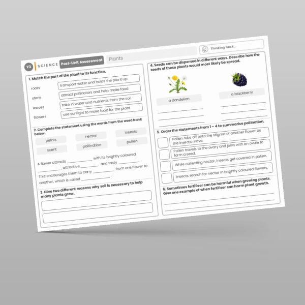 An image of the Plants Post-Unit Assessment Resource