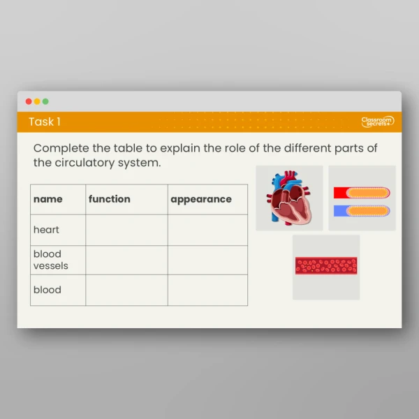 An image of the Free Lesson 1: What is the Human Circulatory System? Resource