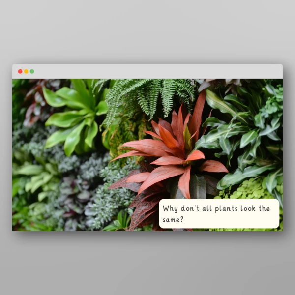 An image of the Plants I Wonder Discussion Prompts Resource