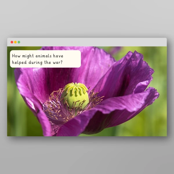 An image of the Remembrance Day I Wonder Discussion Prompts Resource