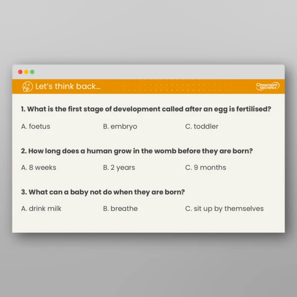 An image of the Lesson 2: How Do Babies Develop? Resource