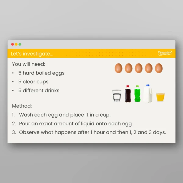 An image of the Lesson 4: How do We Look After Our Teeth? Investigation Resource