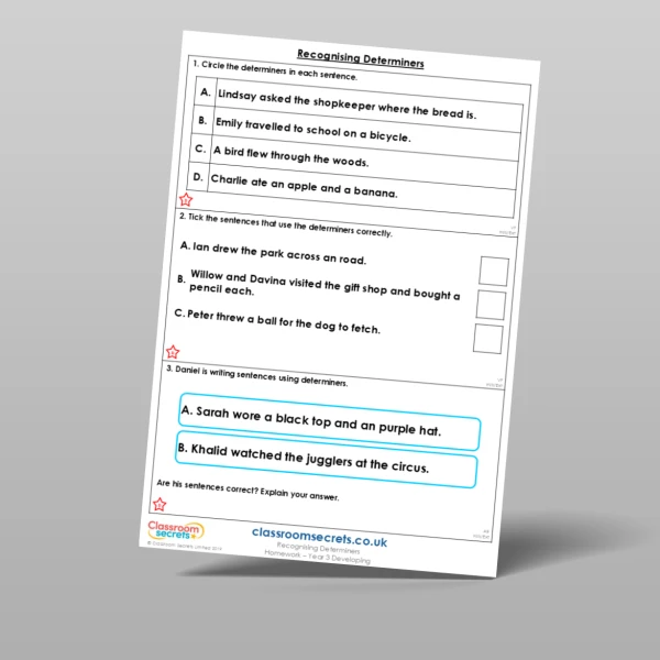 An image of the Recognising Determiners Homework Resource