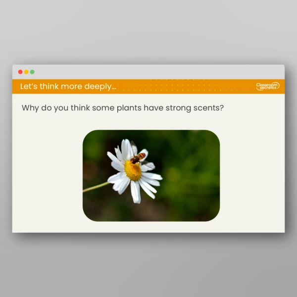 An image of the Lesson 1: What Jobs Do the Different Plant Parts Have? Resource