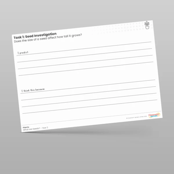 An image of the Lesson 2: Seed Investigation Worksheets Resource
