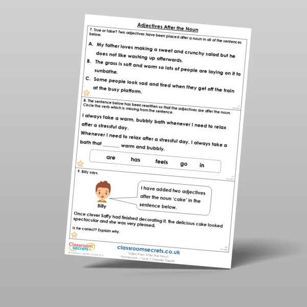 An image of the Adjectives After the Noun Homework Resource