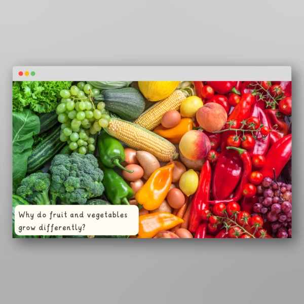 An image of the Harvest I Wonder Discussion Prompts Resource