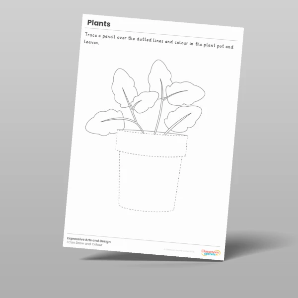 An image of the Plants I Can Draw and Colour Resource