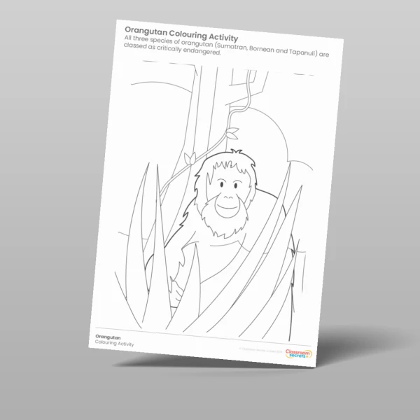 An image of the Endangered Animals Colouring Activity Pack Resource