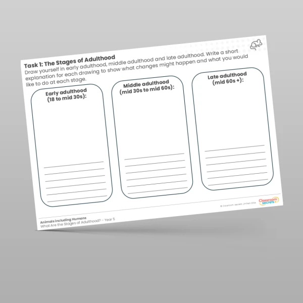 An image of the Lesson 5: The Stages of Adulthood Worksheet Resource