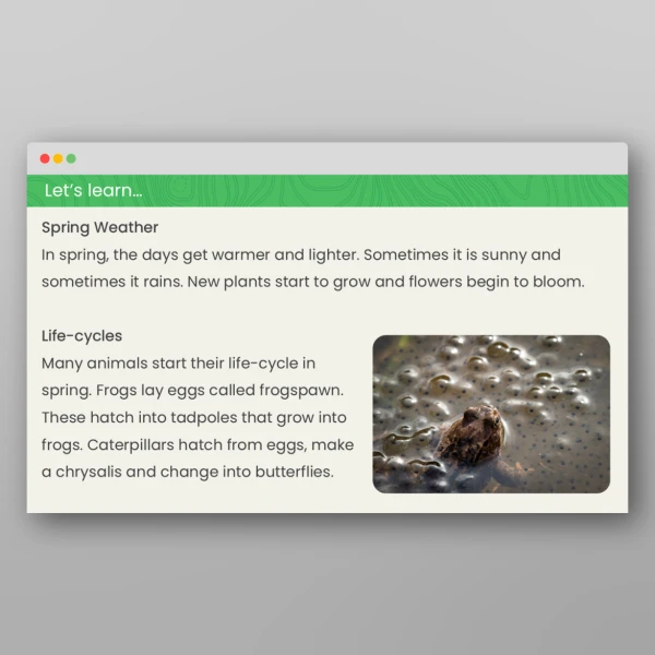 An image of the Spring and Summer Geography PPT Resource