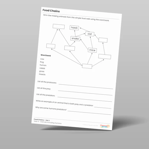An image of the Food Chains Activity Resource