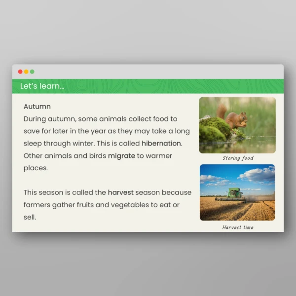 An image of the Autumn and Winter Geography PPT Resource