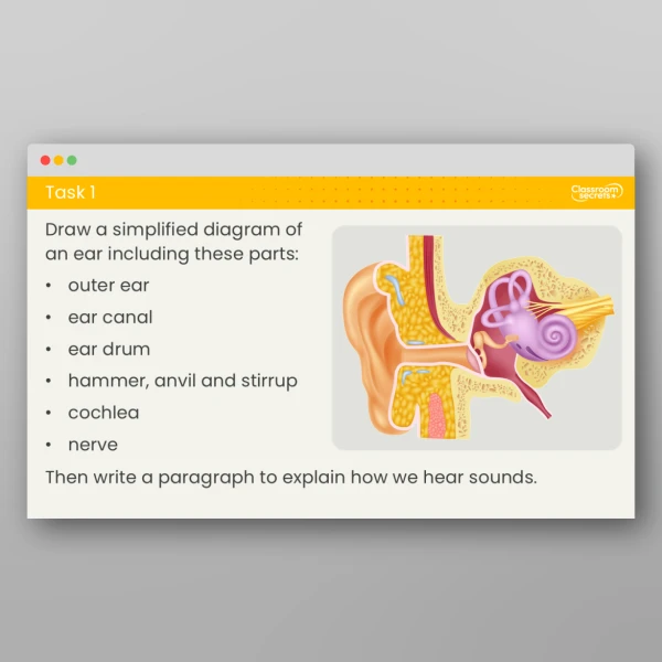 An image of the Lesson 2: How Do We Hear Sounds? Investigation Resource