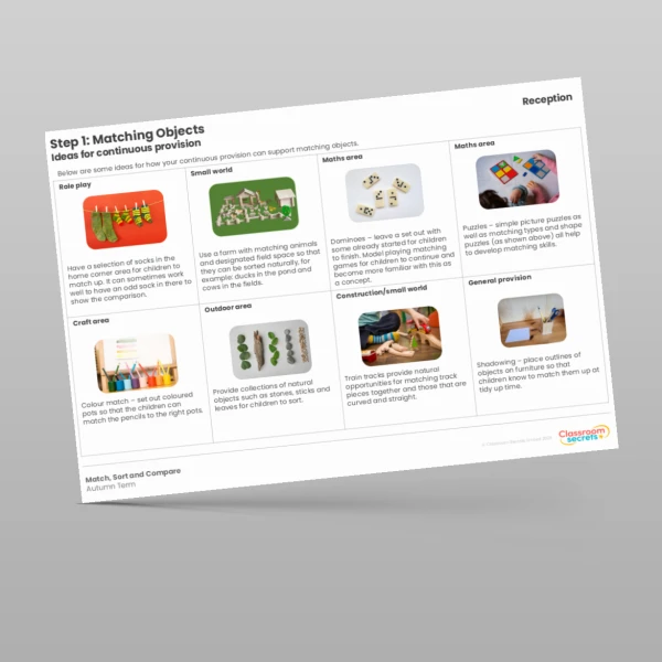 An image of the WR Maths Aligned Planning Reception Step 1 Matching Objects Resource