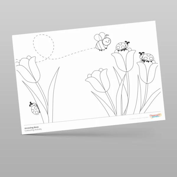An image of the Amazing Bees Colouring Activities Resource
