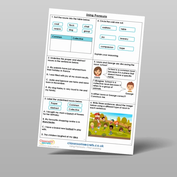 An image of the Using Pronouns Prior Learning Resource
