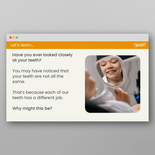 An image of the Lesson 3: What are the Different Types of Teeth? Resource