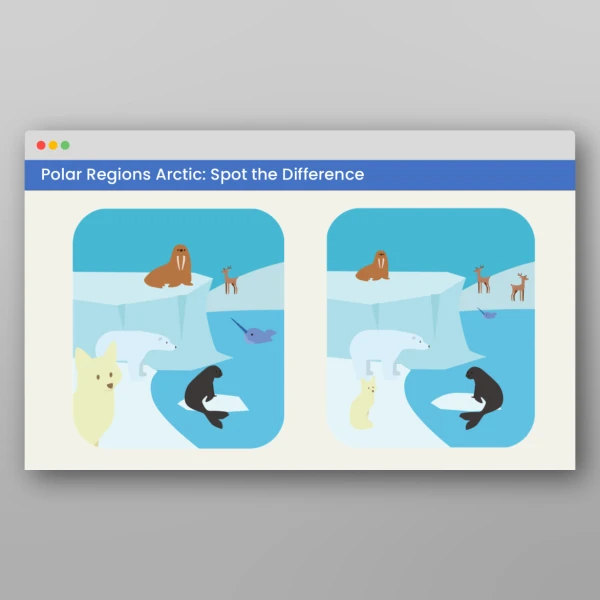 An image of the Amazing World - Polar Regions Visual Discrimination Activities Resource