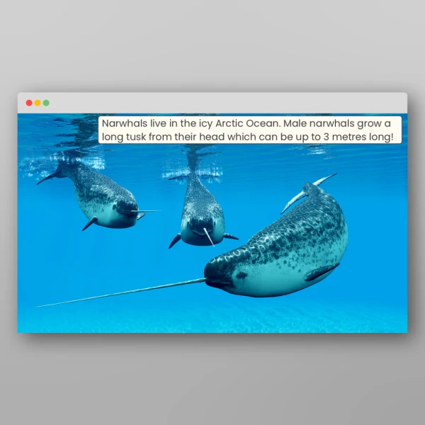 An image of the Amazing Oceans PPT Resource