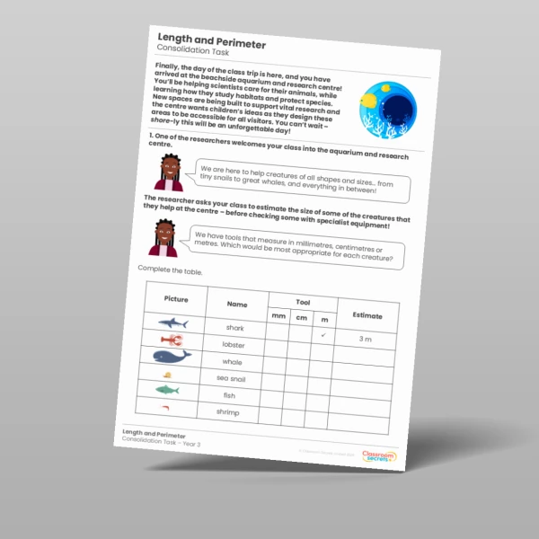 An image of the Length and Perimeter Consolidation Task Resource