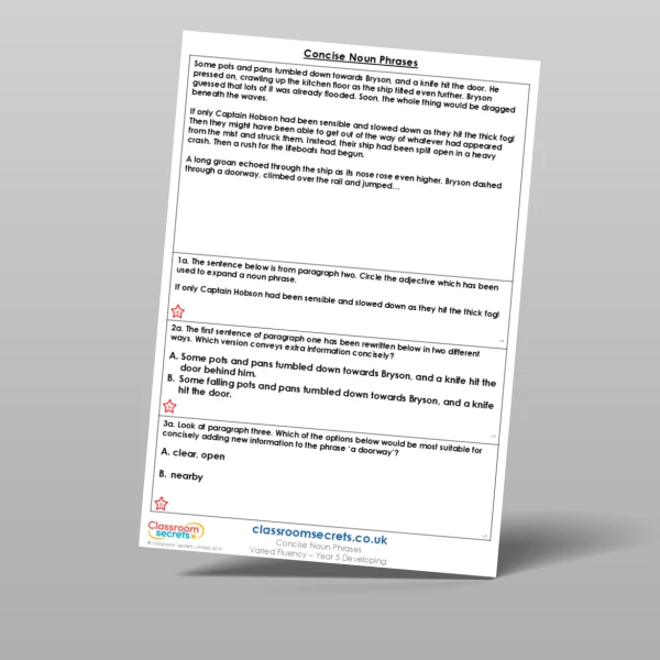An image of the Concise Noun Phrases Varied Fluency Resource