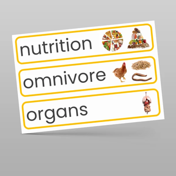 An image of the Animals Including Humans Display Pack Resource