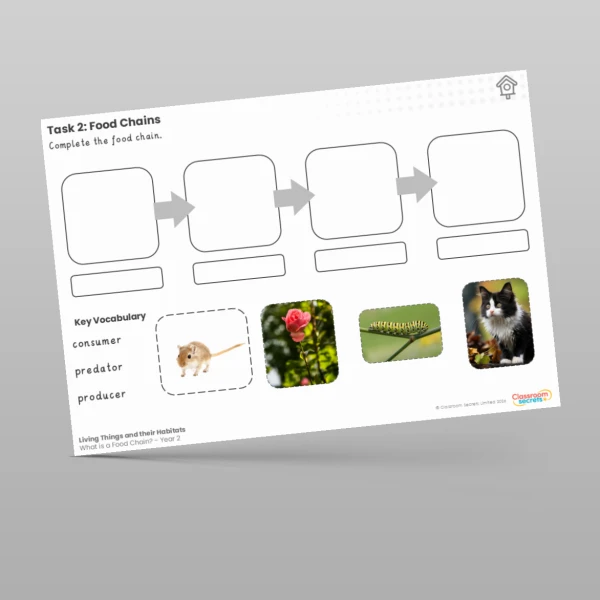 An image of the Lesson 6: What is a Food Chain? Worksheet Resource