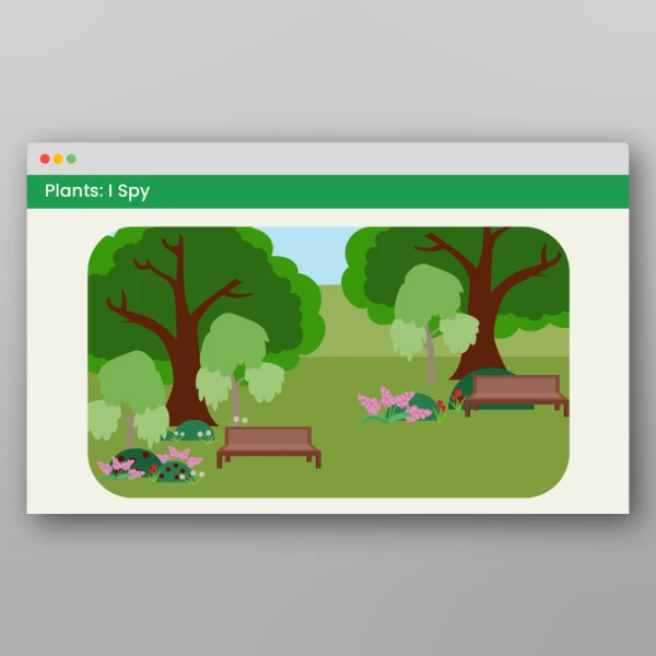 An image of the Plants Visual Discrimination Activities Resource