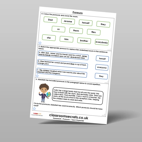 An image of the Pronouns Homework Resource