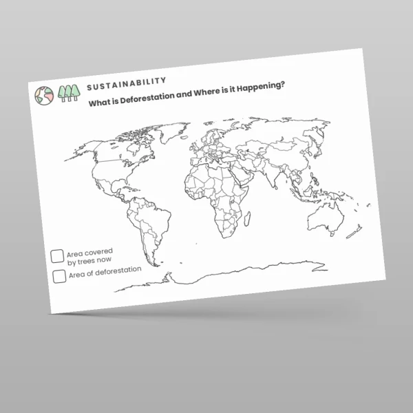 An image of the Where is Deforestation Happening? Worksheet Resource