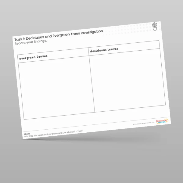 An image of the Lesson 4: Deciduous and Evergreen Trees Investigation Worksheet Resource