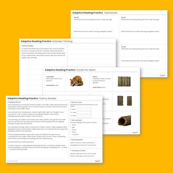 Year 4 Adaptive Reading Practice Following the Fox lesson