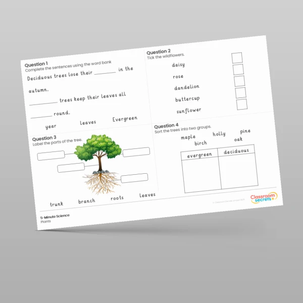 An image of the Plants 5-Minute Science Resource