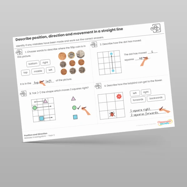 An image of the Position and Direction Mistake Investigators Resource