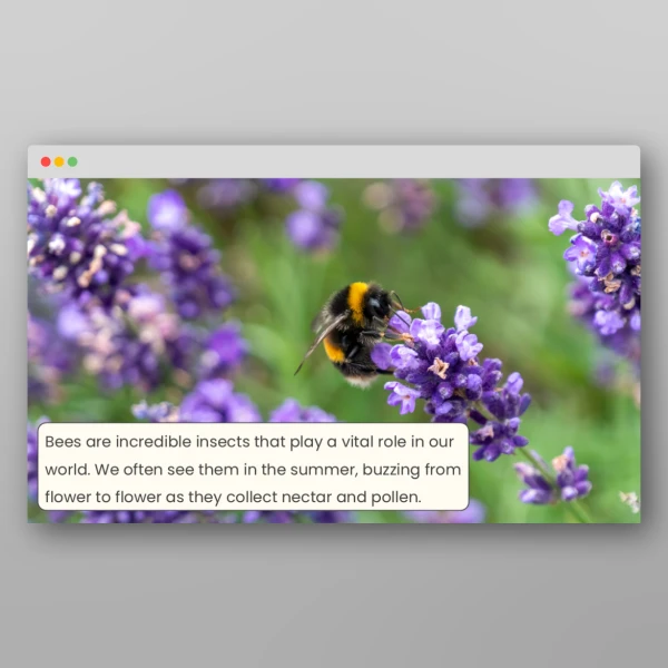 An image of the Bees Activity Pack Resource