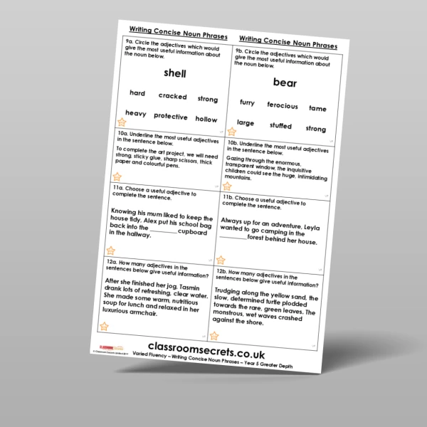 An image of the Writing Concise Noun Phrases Varied Fluency Resource